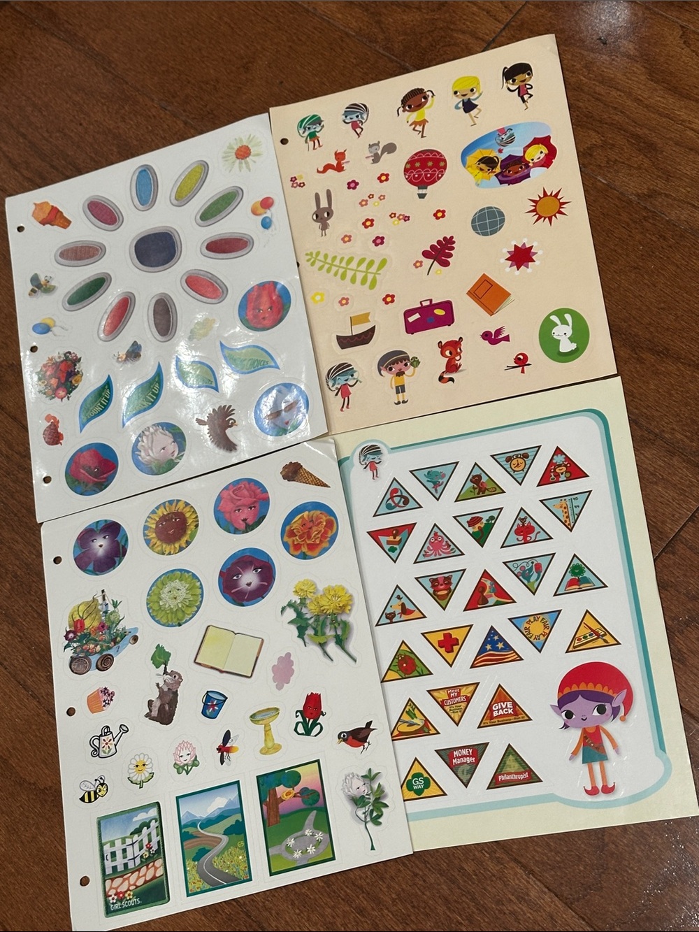 Girl Scout Daisy Sticker Sheet Lot - new